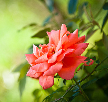 网站ddos隐藏源ip