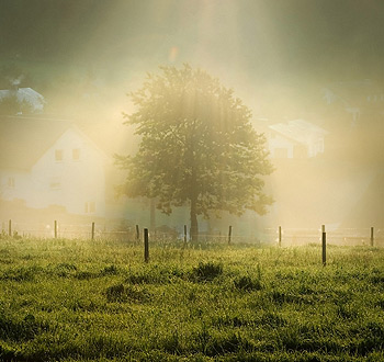 CC在线压力测试