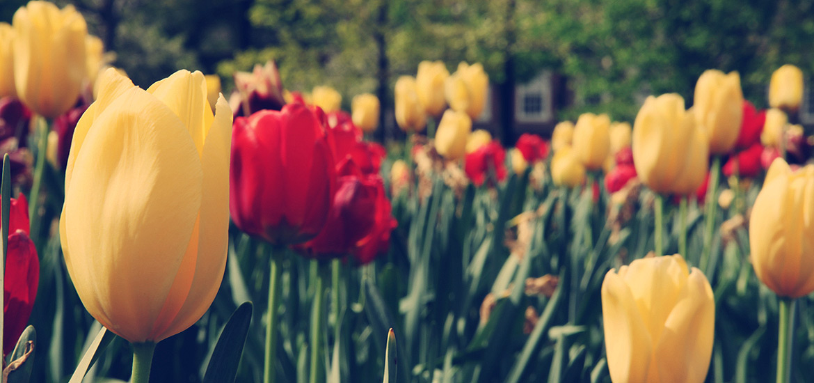 手机攻击器APP下载