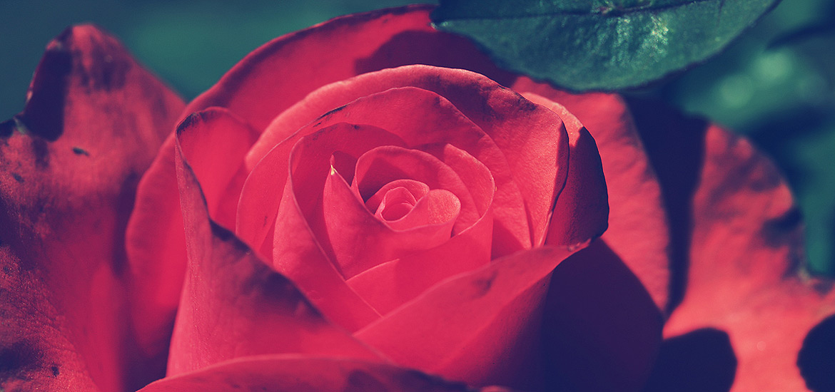 网站ddos隐藏源ip